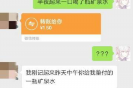 平阳为什么选择专业追讨公司来处理您的债务纠纷？